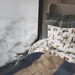 Vidsyn Midjås *
