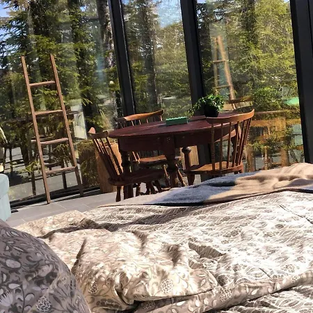 Vidsyn Midjas Vistad