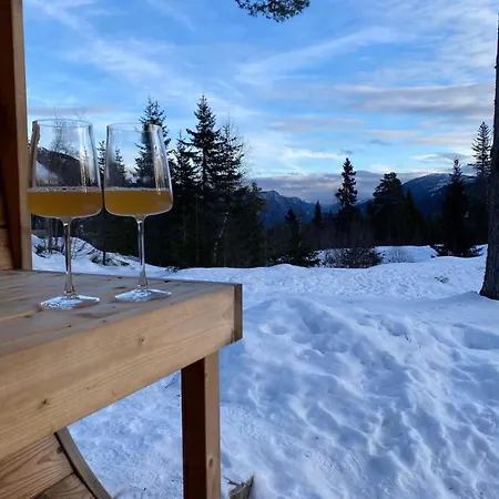 Vidsyn Midjas Vistad