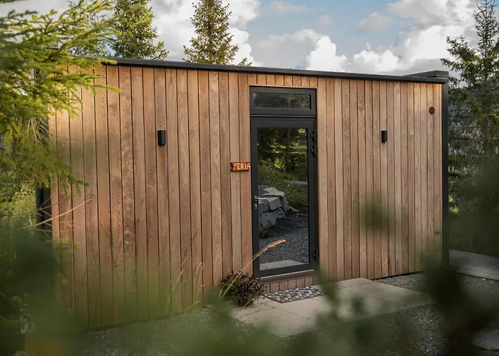 Vidsyn Midjas * Vistad