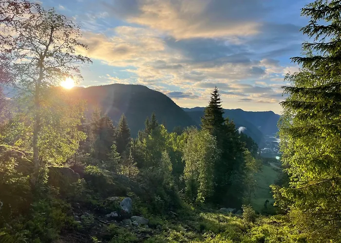 Vidsyn Midjas Camping